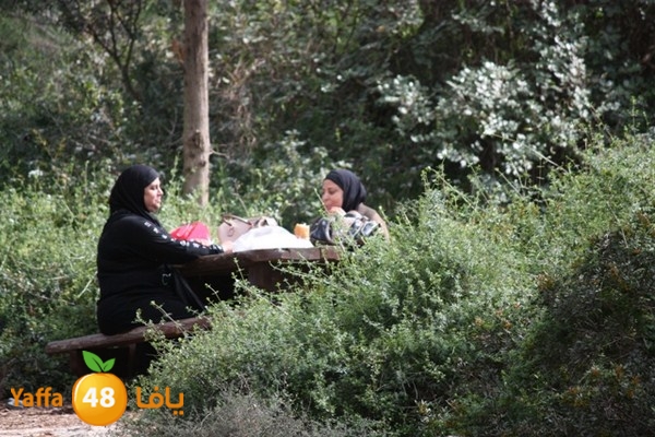 re7la7efa483 (12).JPG